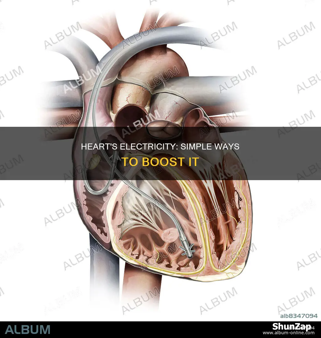 how to increase electricity in your heart