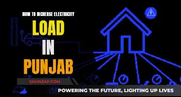 Increasing Electricity Load: Punjab's Power Play