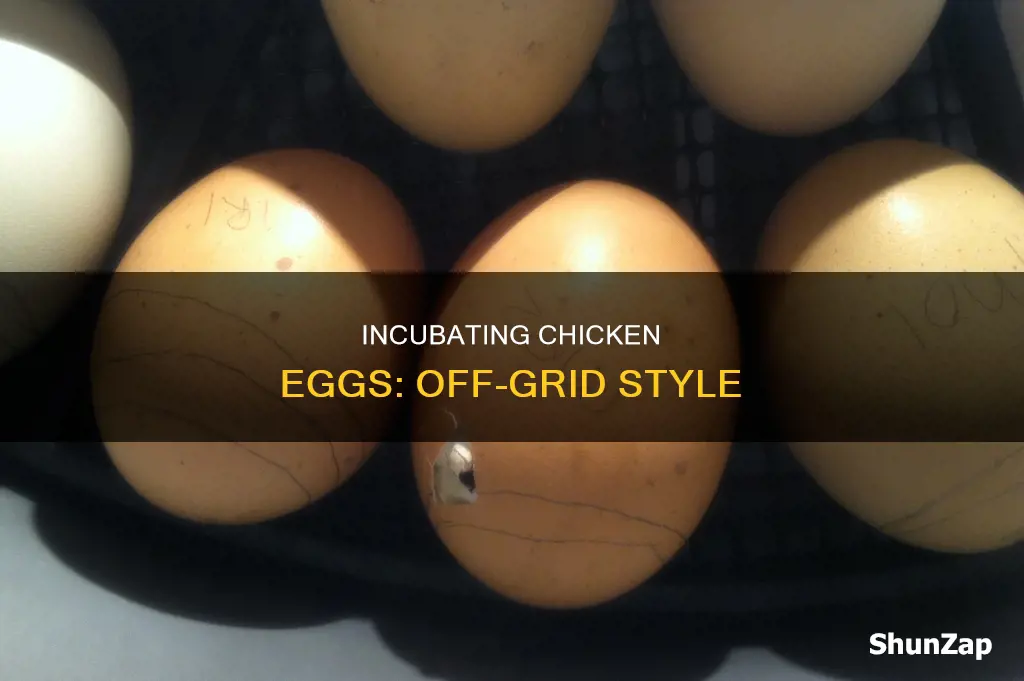 how to incubate chicken eggs without electricity