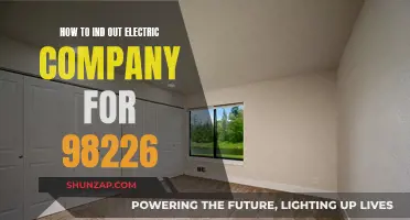 Finding the Right Electric Company for 98226