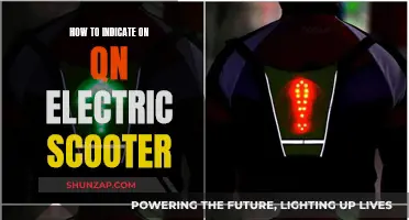 Electric Scooting: Safe Riding and Signaling