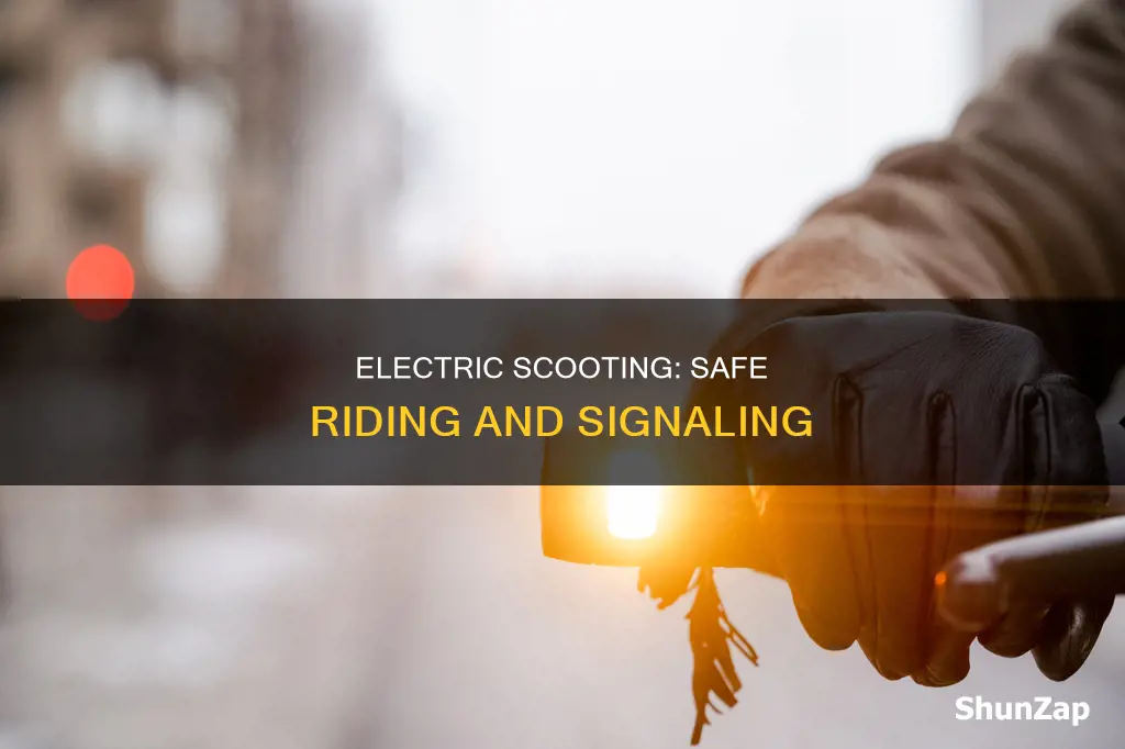 how to indicate on qn electric scooter