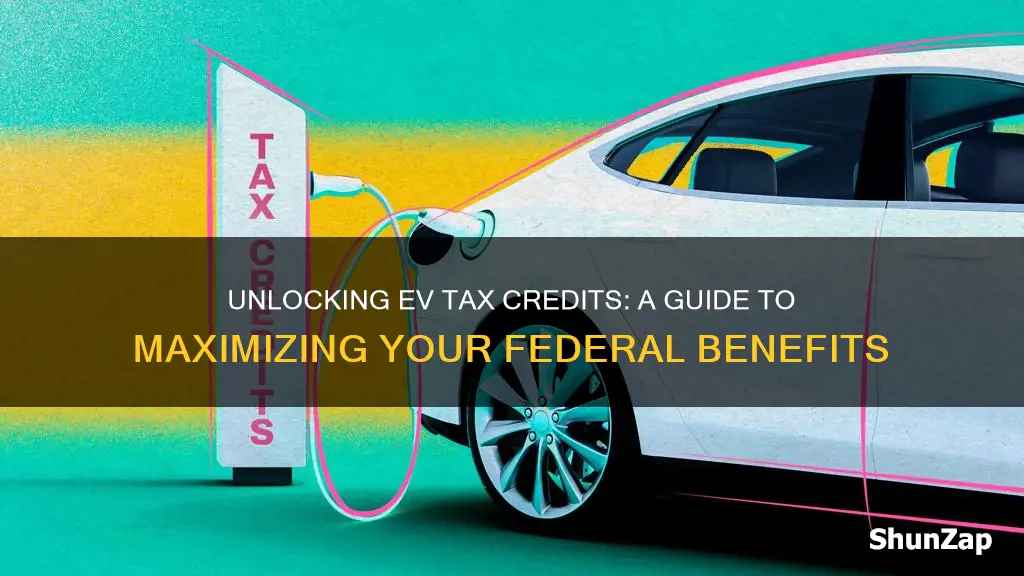 how to input electric vehicle federal credit