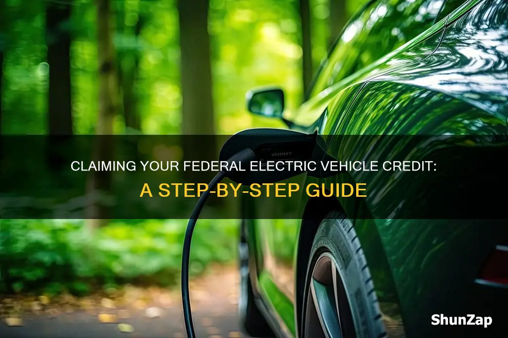 how to input electric vehicle federal credit