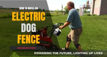 Electric Dog Fence: Easy Installation Steps for Pet Owners