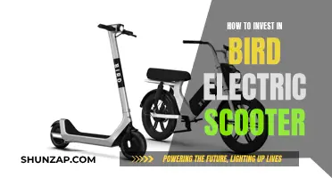 Bird Electric Scooters: A Guide to Investing in the Future