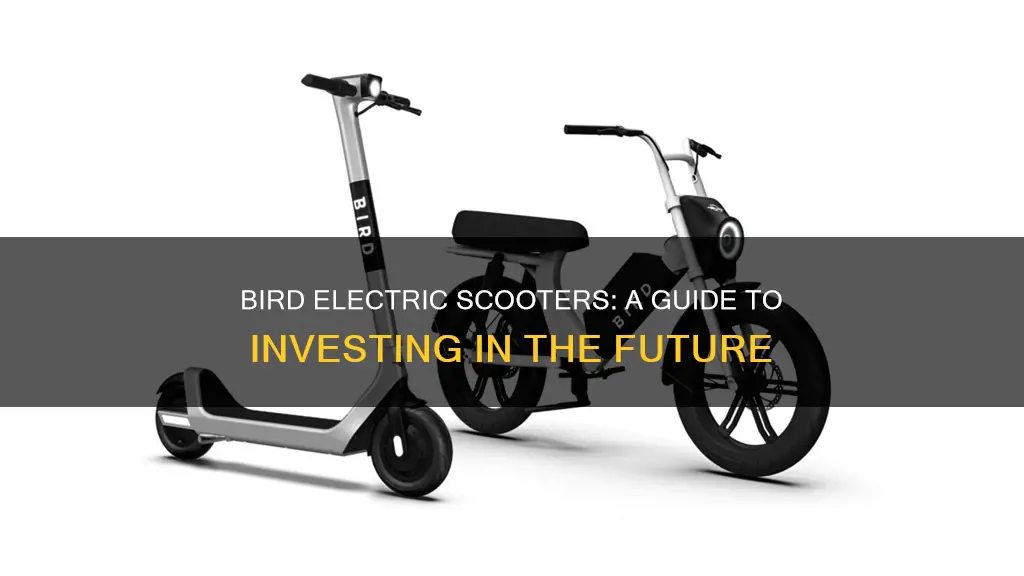 how to invest in bird electric scooter