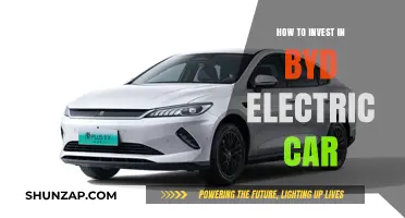 Investing in BYD Electric Cars: A Comprehensive Guide for Beginners