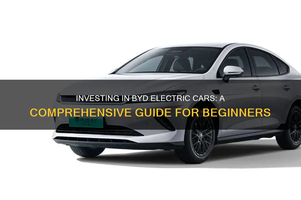 how to invest in byd electric car