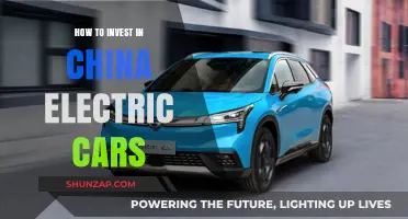Investing in China's Electric Vehicle Boom: A Comprehensive Guide