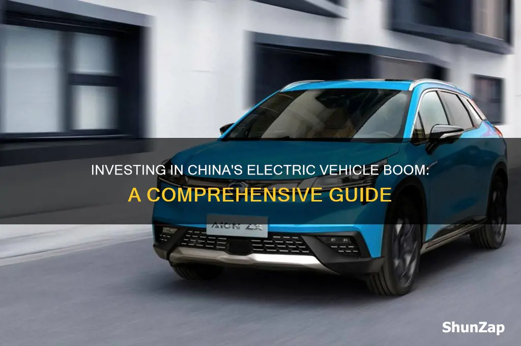 how to invest in china electric cars