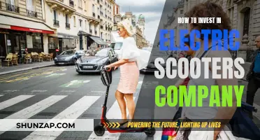 Electric Scooters: A Guide to Investing in the Future