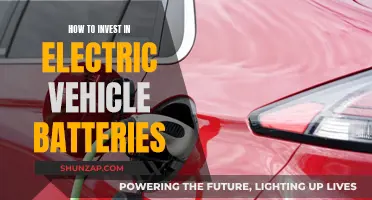 Electric Vehicle Battery Investment: Strategies for Success