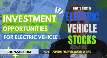 Unleash Your Portfolio's Potential: A Guide to Electric Vehicle Stocks