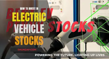 Electric Vehicle Stocks: A Guide to Investing