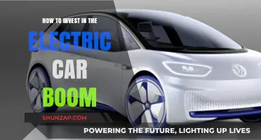 Ride the Electric Wave: Smart Strategies for Investing in the EV Boom
