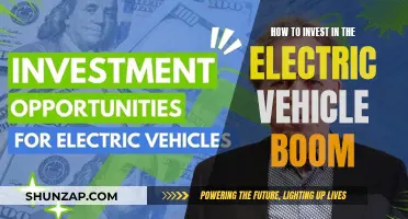 Unleash Your Wealth: Strategies for Riding the Electric Vehicle Wave