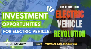 Unlocking the Future: Your Guide to Electric Vehicle Investing