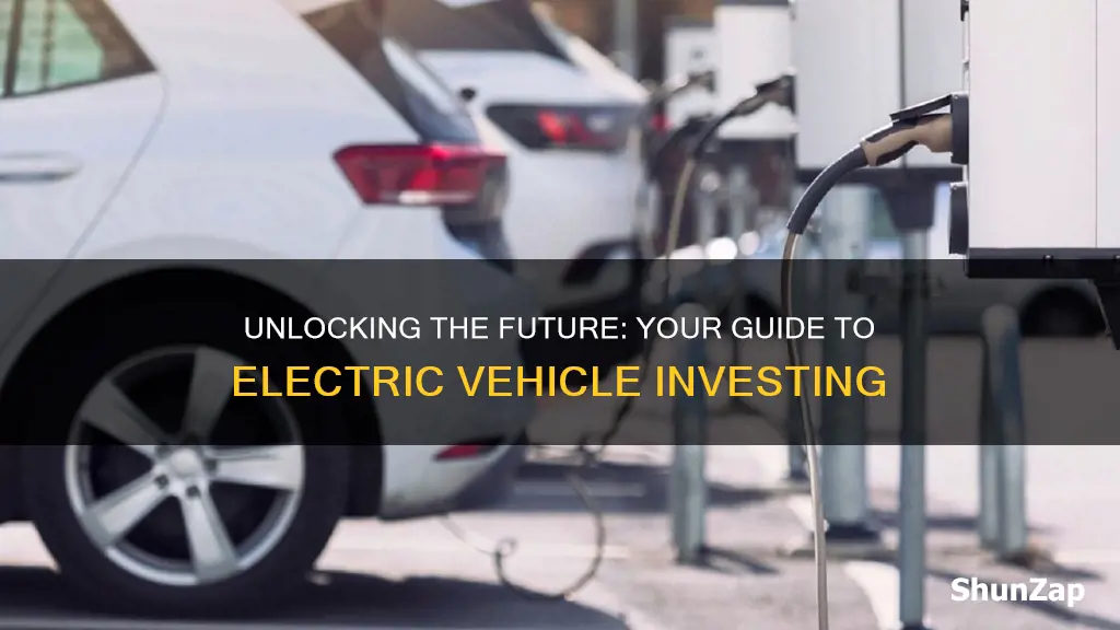 how to invest in the electric vehicle revolution