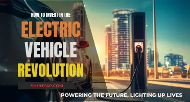 Electric Vehicle Revolution: Guide to Investing in the Future