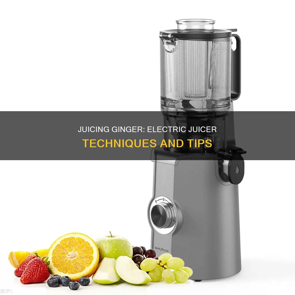 how to juice ginger with electric juicer