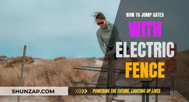 Jumping Electric Fences: Strategies to Overcome Obstacles