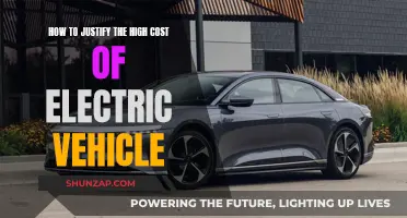 Electric Vehicles: Unlocking Value Beyond the Price Tag