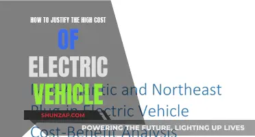 Electric Vehicles: Justifying the High Cost of Going Green