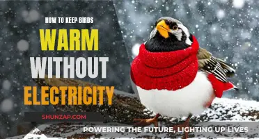 Keeping Birds Cozy and Warm Without Electricity