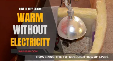 Keeping Chicks Warm: Alternative Methods to Electricity