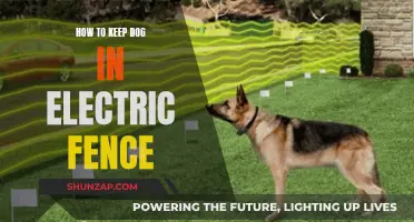 Electric Fences: Keeping Your Dog Safe and Secure