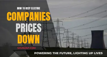 Electricity Bills: Keeping Costs Down and Managing Expenses