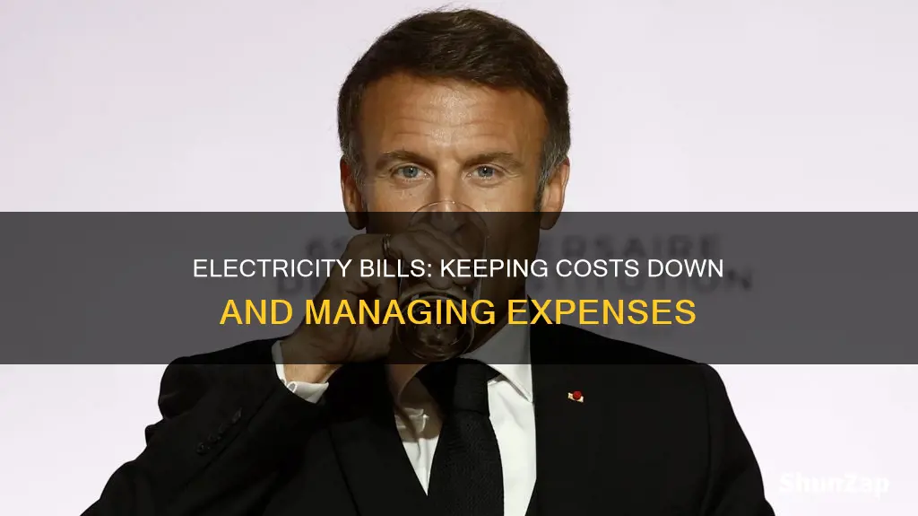 how to keep electric companies prices down