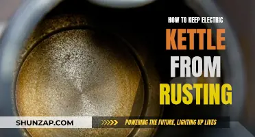 Preventing Rust: Electric Kettle Care and Maintenance