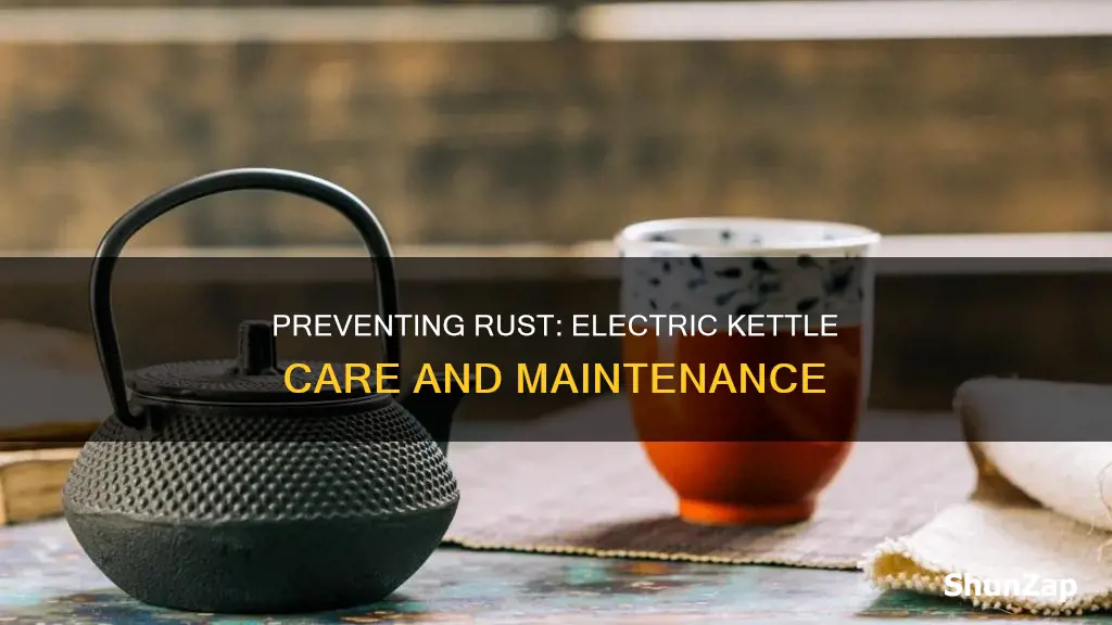 how to keep electric kettle from rusting