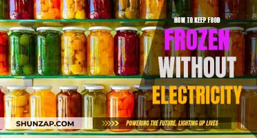 Keep Food Frozen: No Electricity Needed