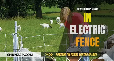 Goat-Proof Electric Fencing: Tips and Tricks