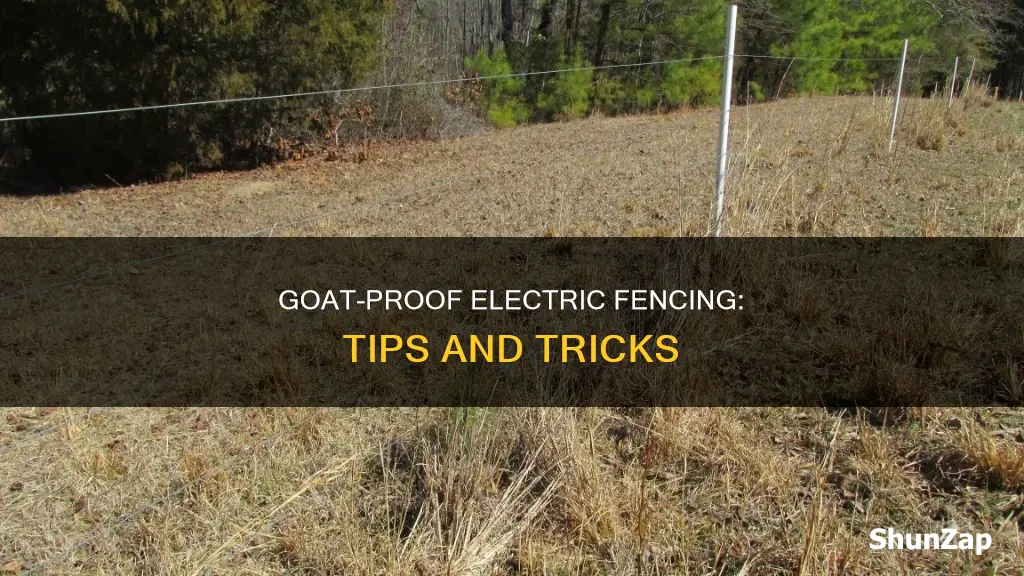 how to keep goats in electric fence