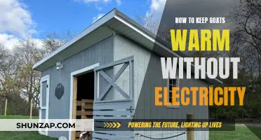 Keeping Goats Warm: Off-Grid Methods for Cold Weather
