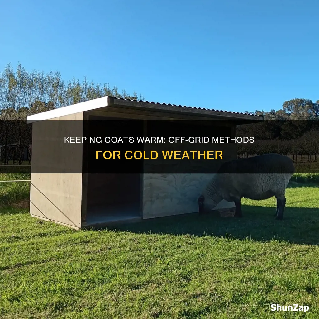 how to keep goats warm without electricity