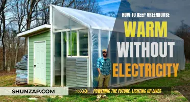 Ways to Maintain Greenhouse Warmth Without Electricity