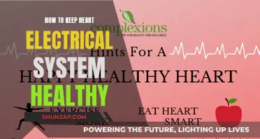 Heart Electrical Health: Tips for a Strong Beat