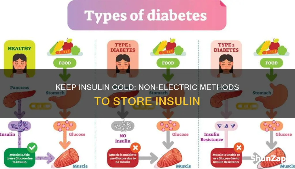 how to keep insulin cold without electricity