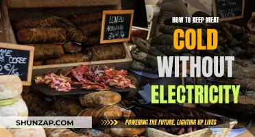 Meat Preservation: Cold Storage Without Electricity
