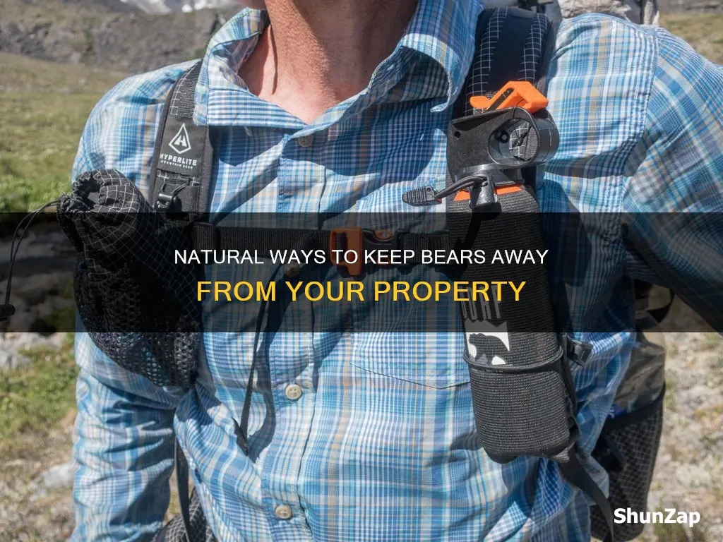 how to keep out bears without electricity