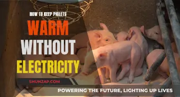 Keeping Piglets Warm: Off-Grid Methods for Survival