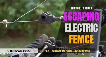 Electric Fences: Keeping Ponies Safe and Secure