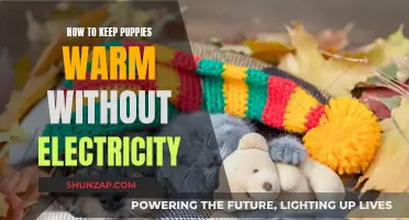 Cozy Pups: No Electricity, No Problem!