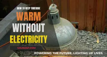 Keeping Tortoises Warm: Alternative Heating Methods