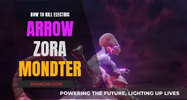 Electric Arrow Zora: A Step-by-Step Guide to Defeating It